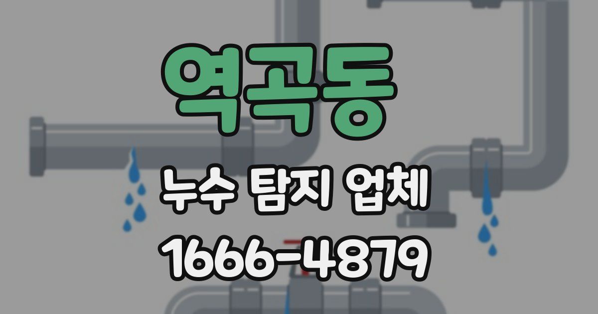 역곡동 누수 탐지 업체