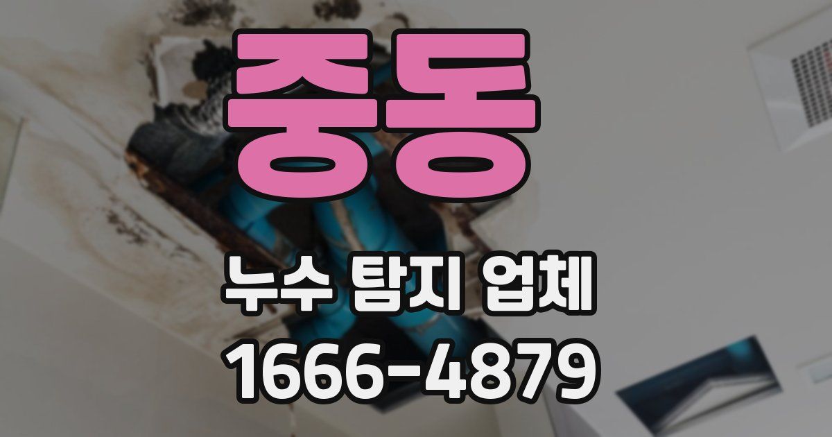 중동 누수 탐지 업체