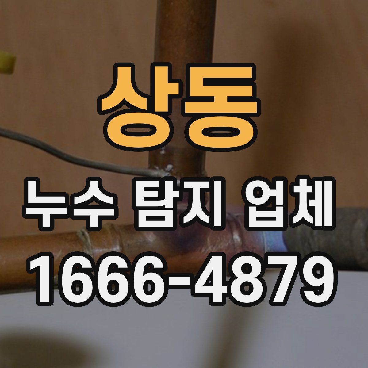 상동 누수 탐지 업체