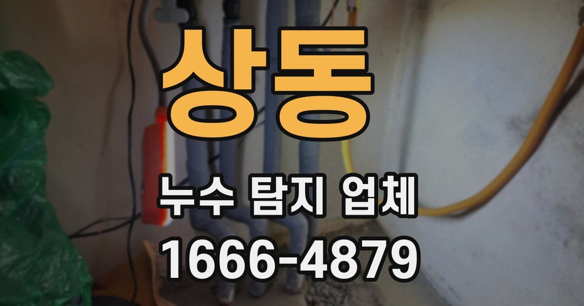 상동 누수 탐지 업체