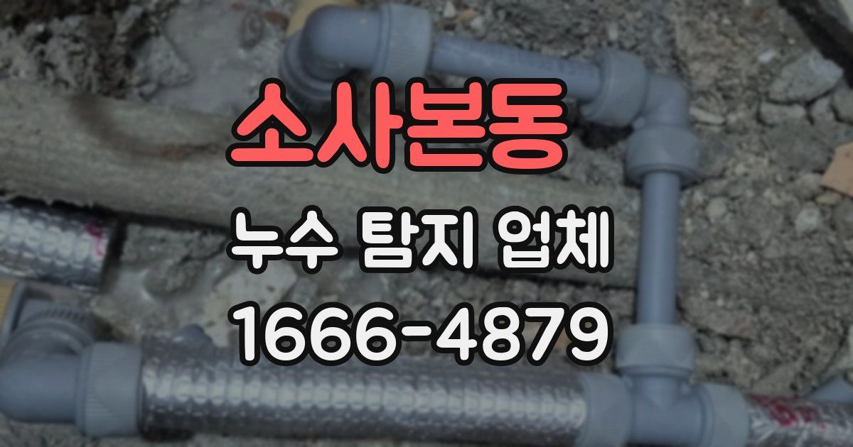 소사본동 누수 탐지 업체