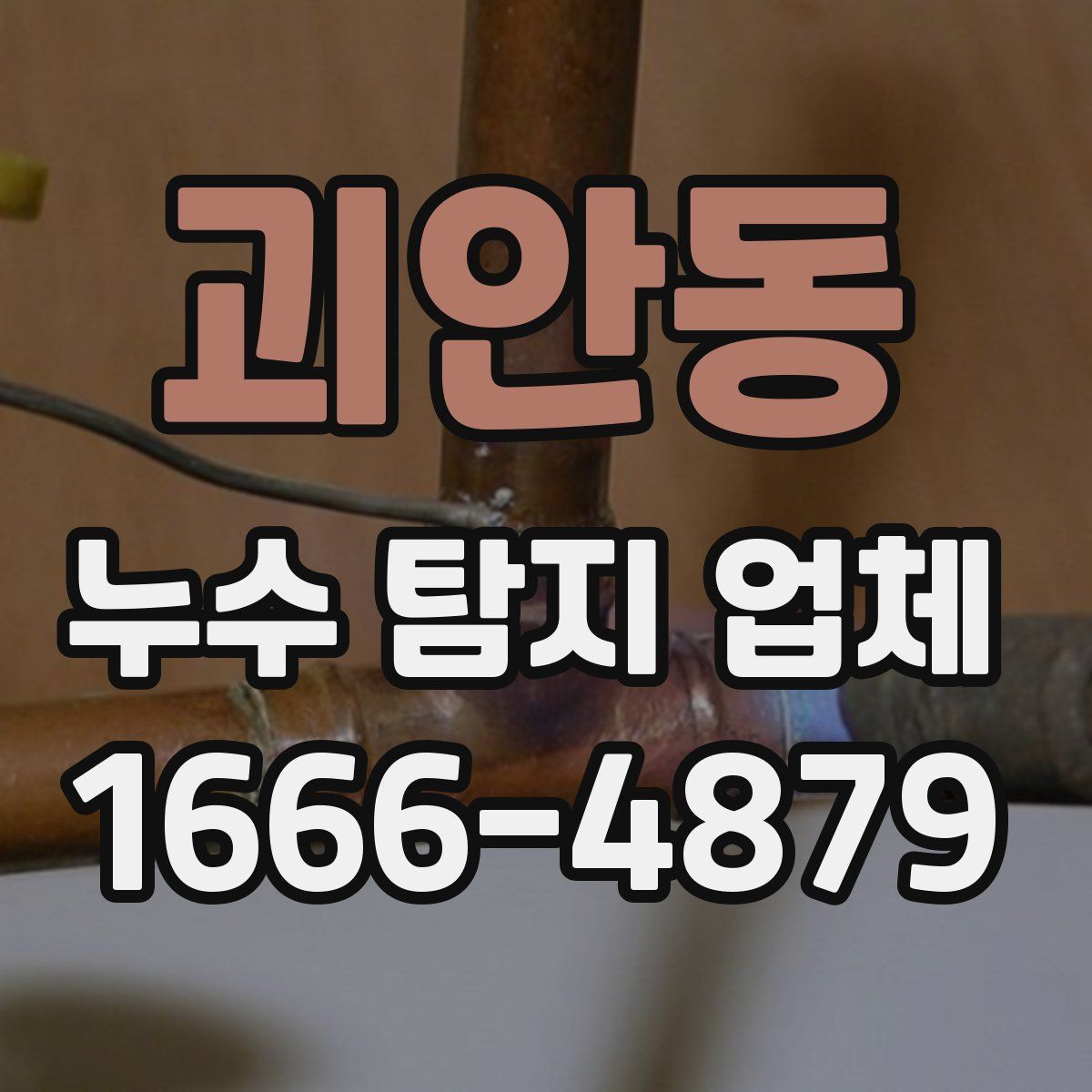괴안동 누수 탐지 업체
