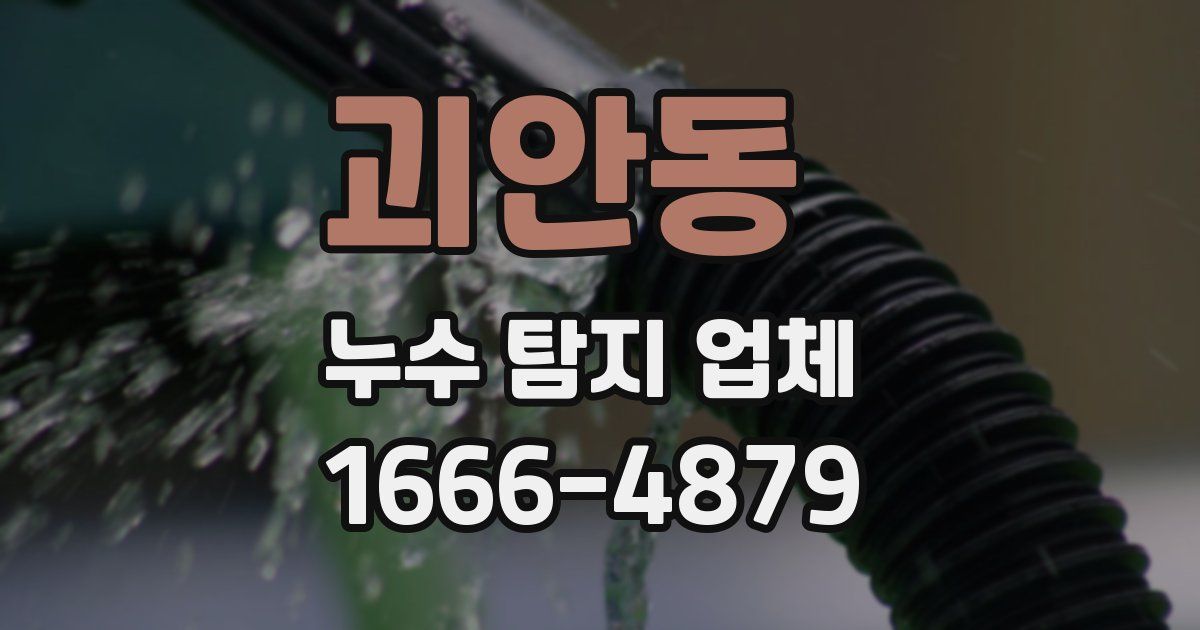 괴안동 누수 탐지 업체
