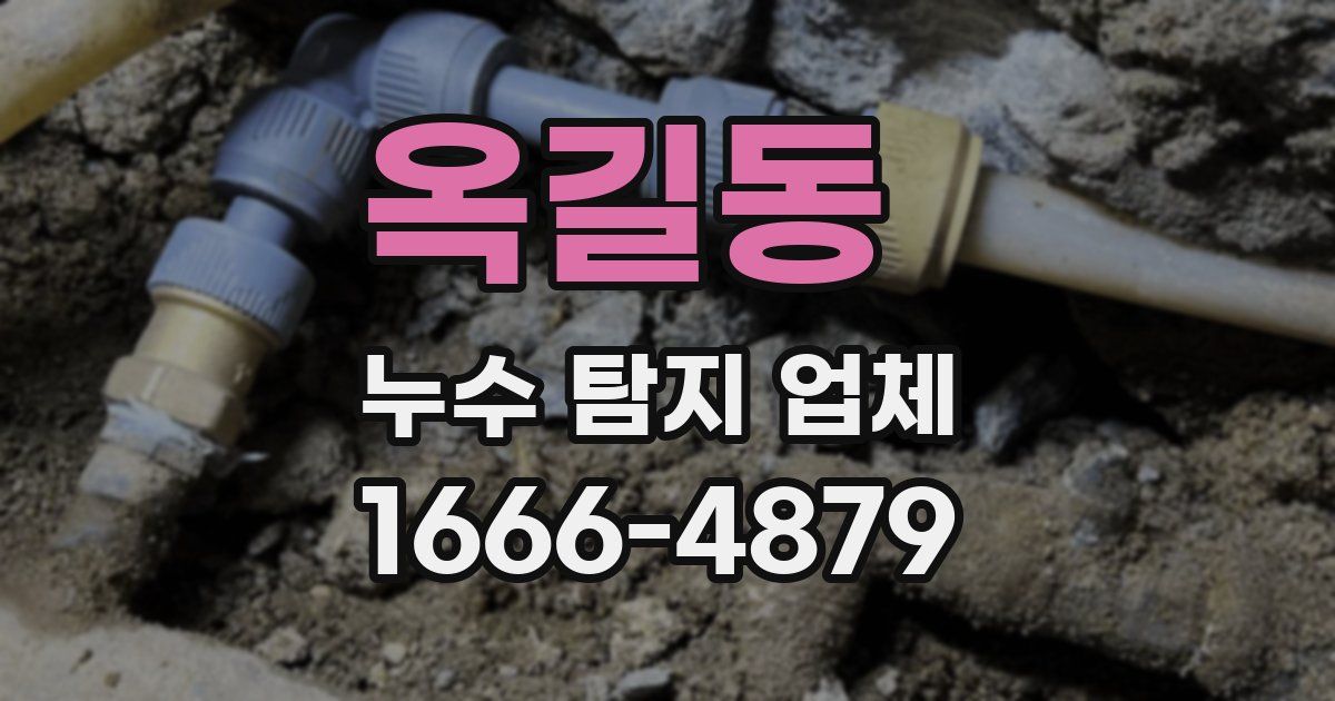 옥길동 누수 탐지 업체