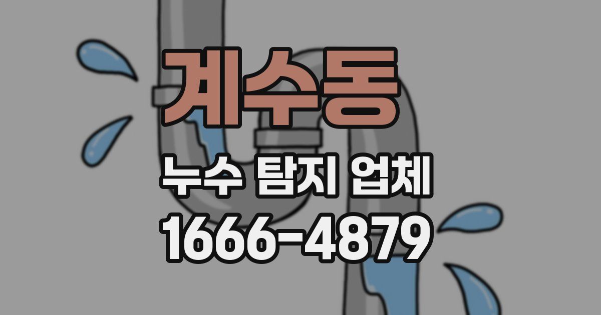 계수동 누수 탐지 업체