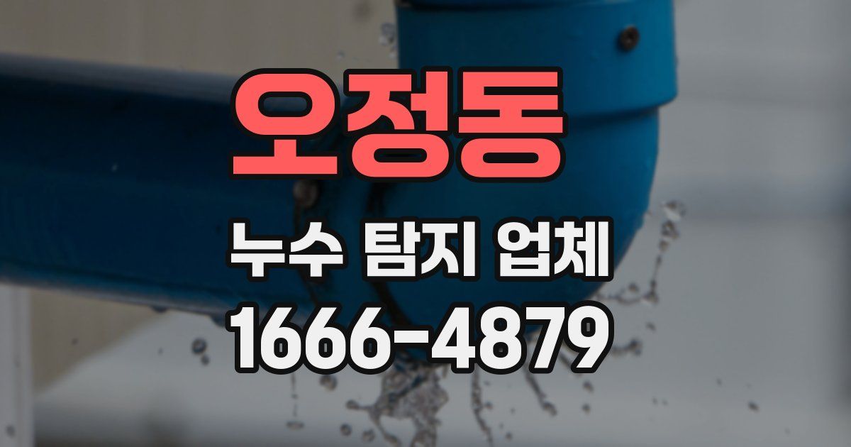오정동 누수 탐지 업체