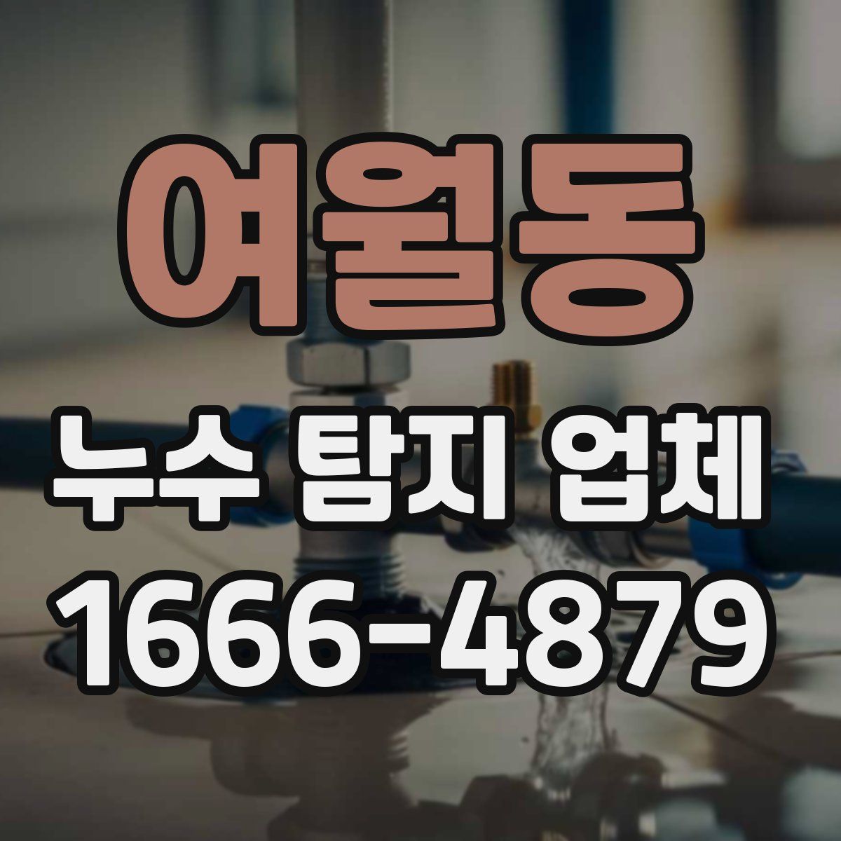 여월동 누수 탐지 업체