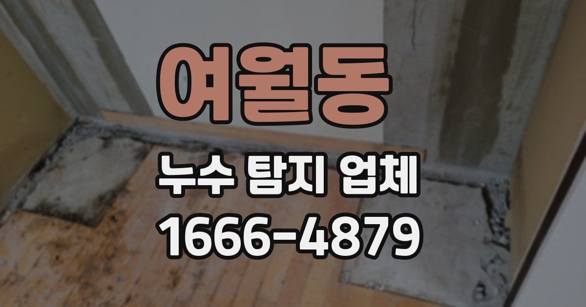 여월동 누수 탐지 업체
