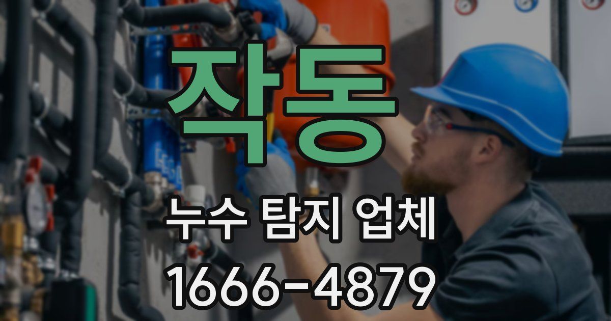 작동 누수 탐지 업체