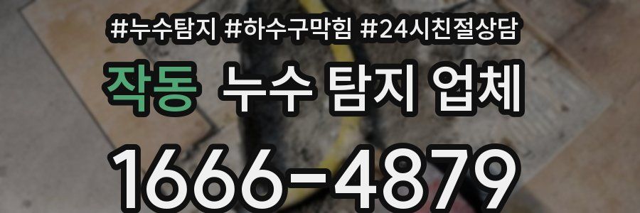 작동 누수 탐지 업체