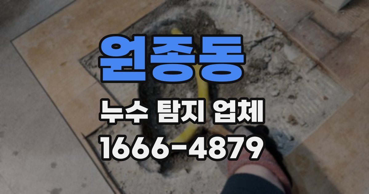 원종동 누수 탐지 업체