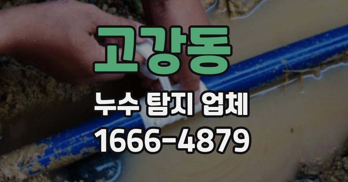 고강동 누수 탐지 업체