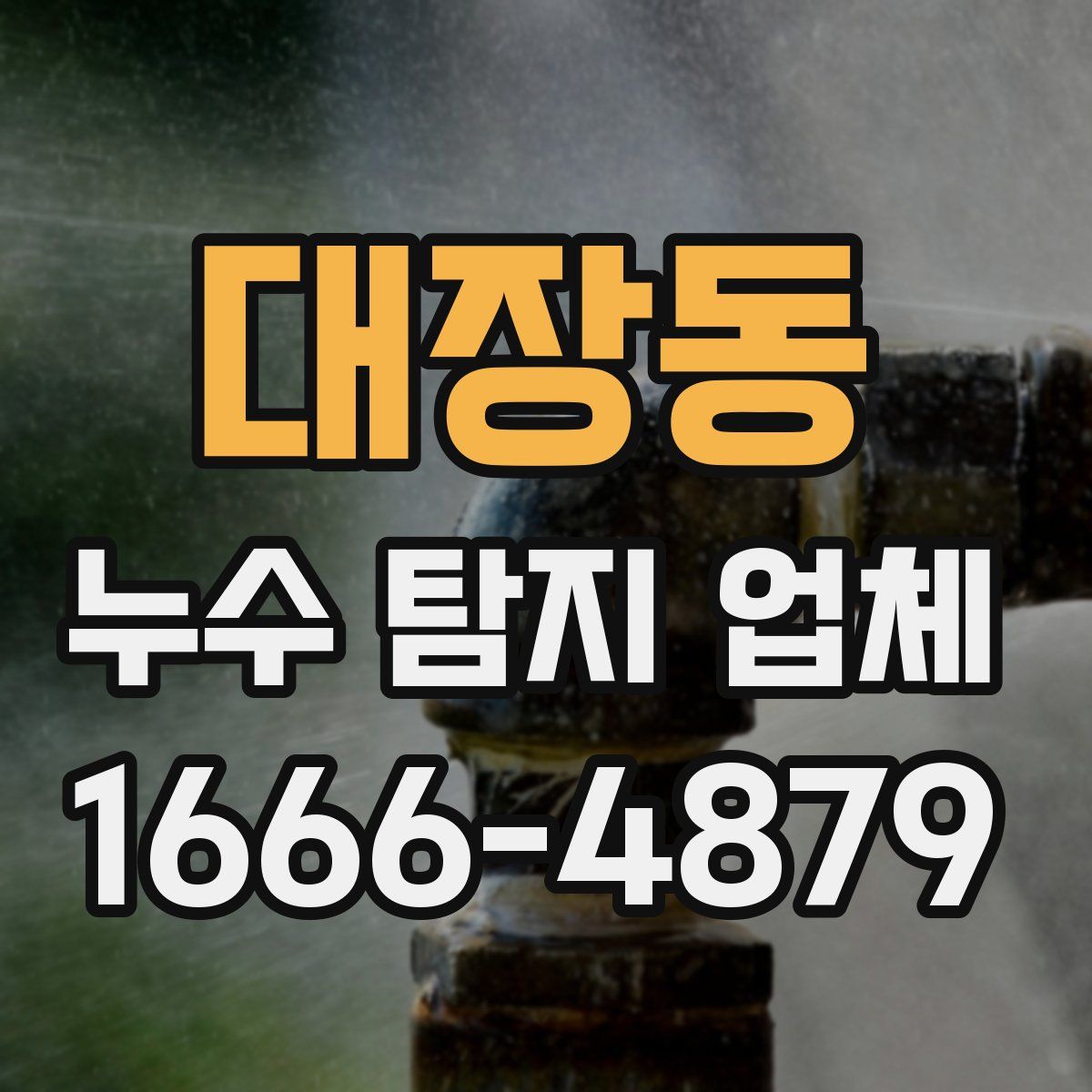 대장동 누수 탐지 업체