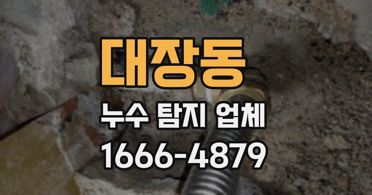 대장동 누수 탐지 업체