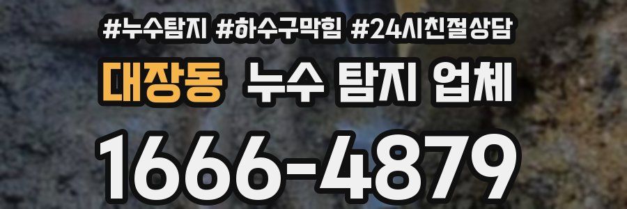 대장동 누수 탐지 업체