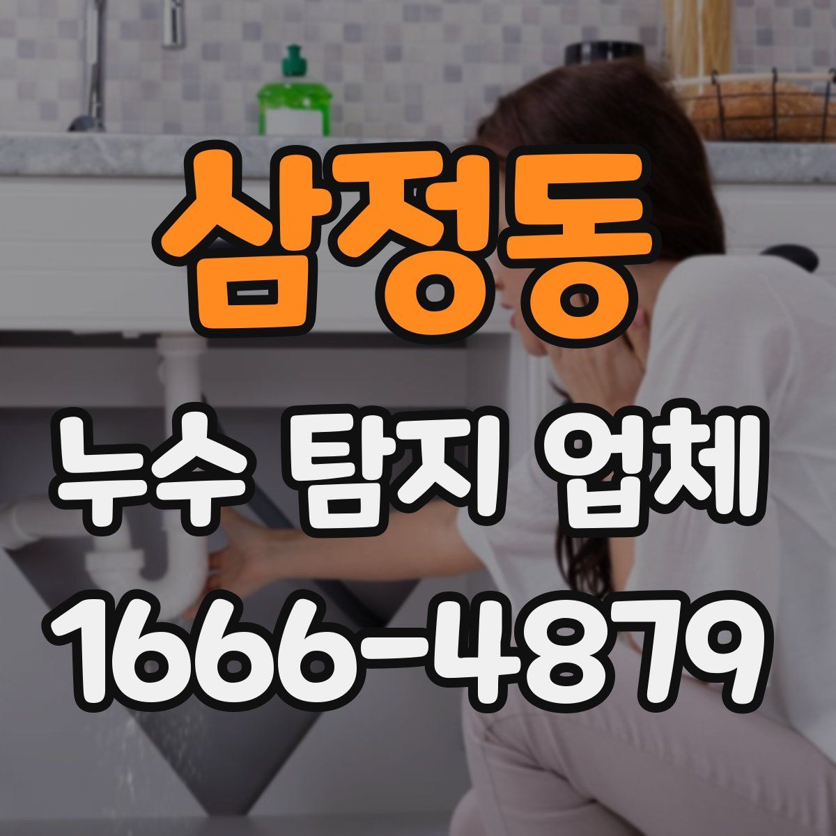 삼정동 누수 탐지 업체