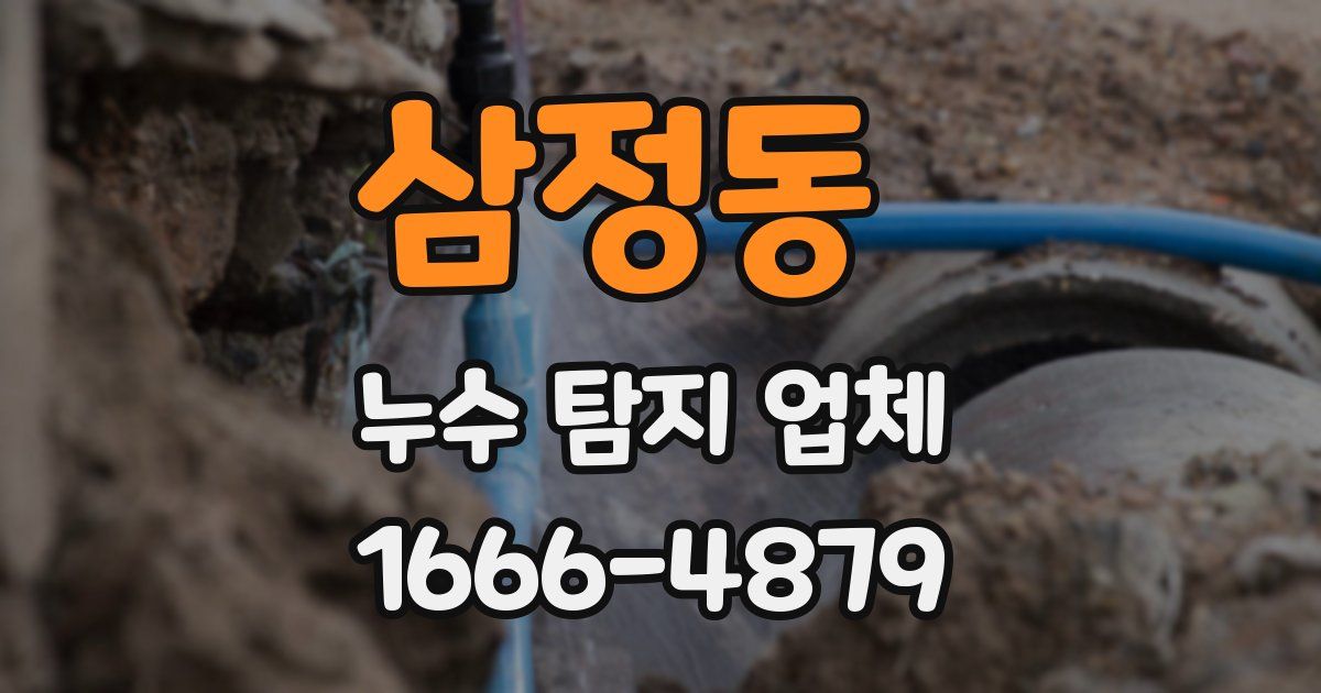 삼정동 누수 탐지 업체
