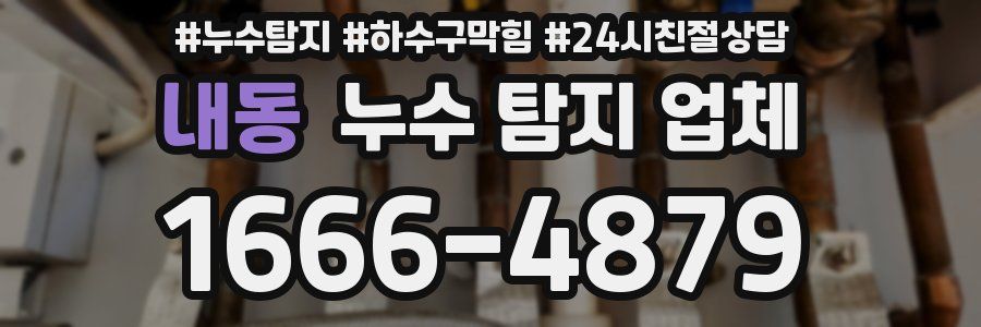 내동 누수 탐지 업체