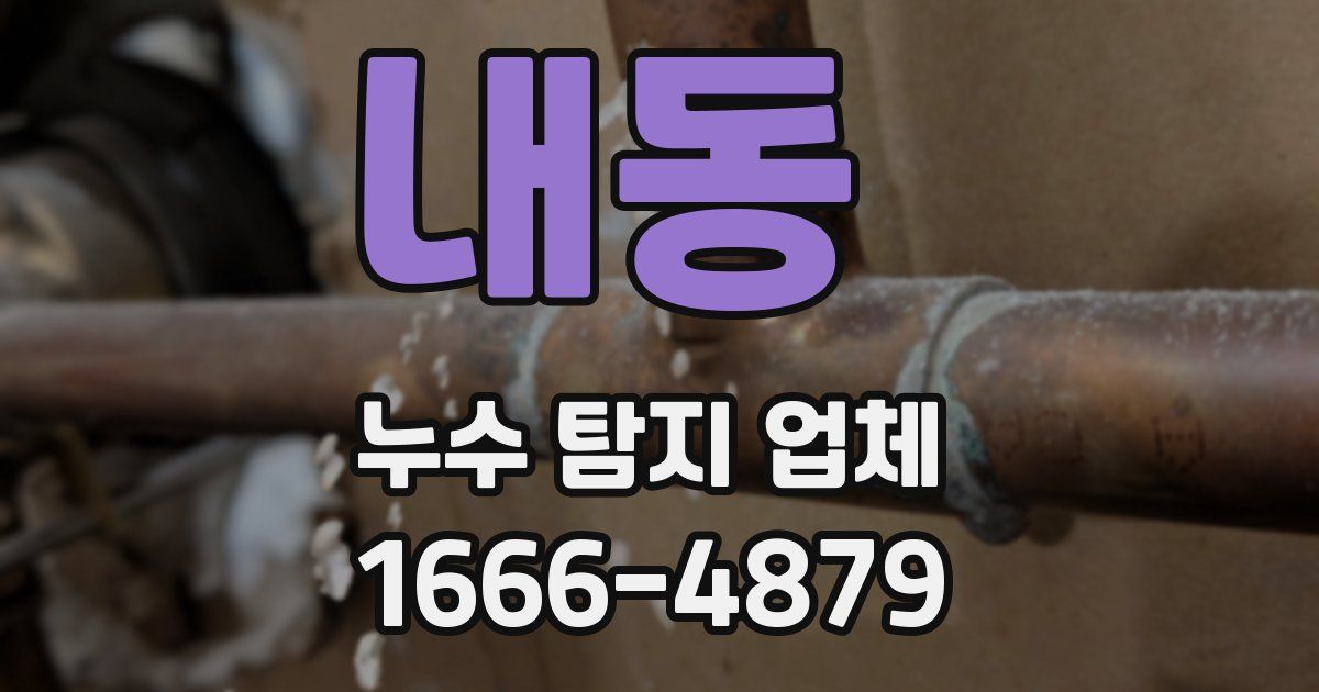 내동 누수 탐지 업체