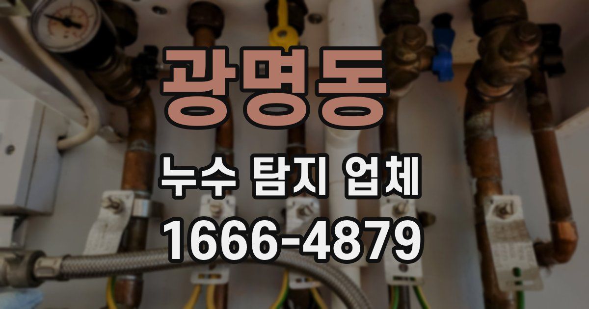 광명동 누수 탐지 업체