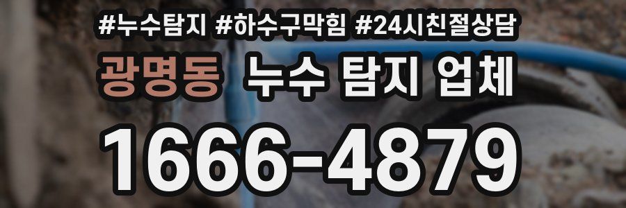 광명동 누수 탐지 업체