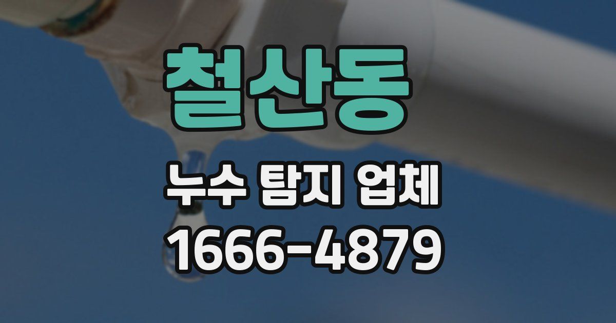 철산동 누수 탐지 업체