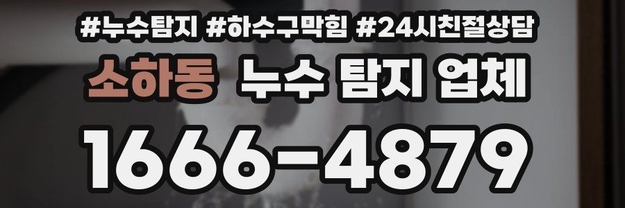 소하동 누수 탐지 업체