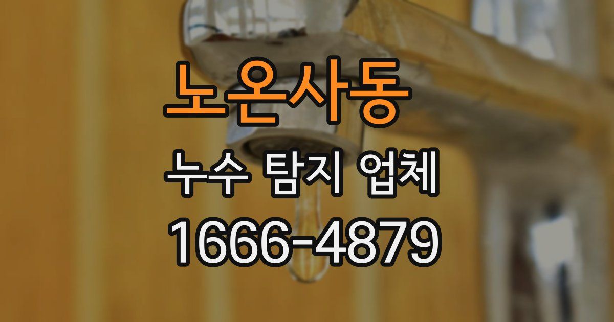 노온사동 누수 탐지 업체