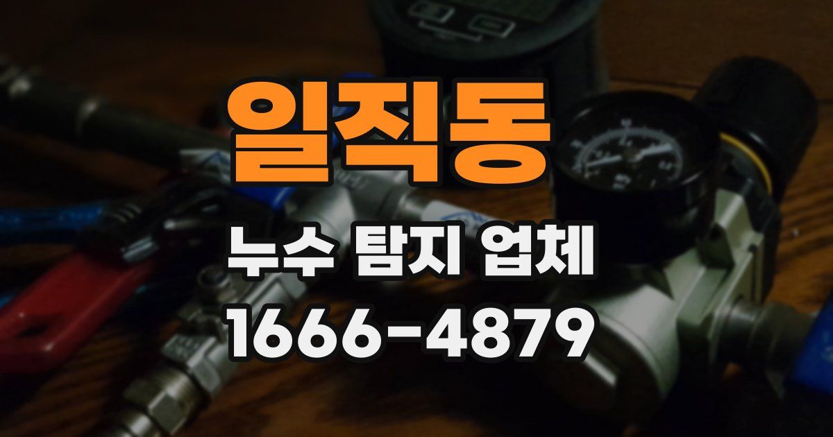 일직동 누수 탐지 업체