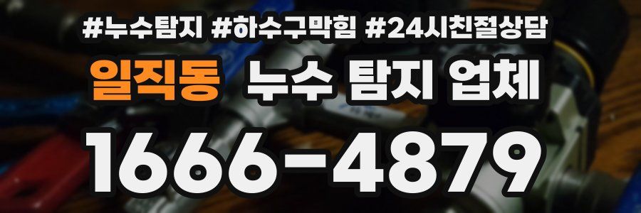 일직동 누수 탐지 업체
