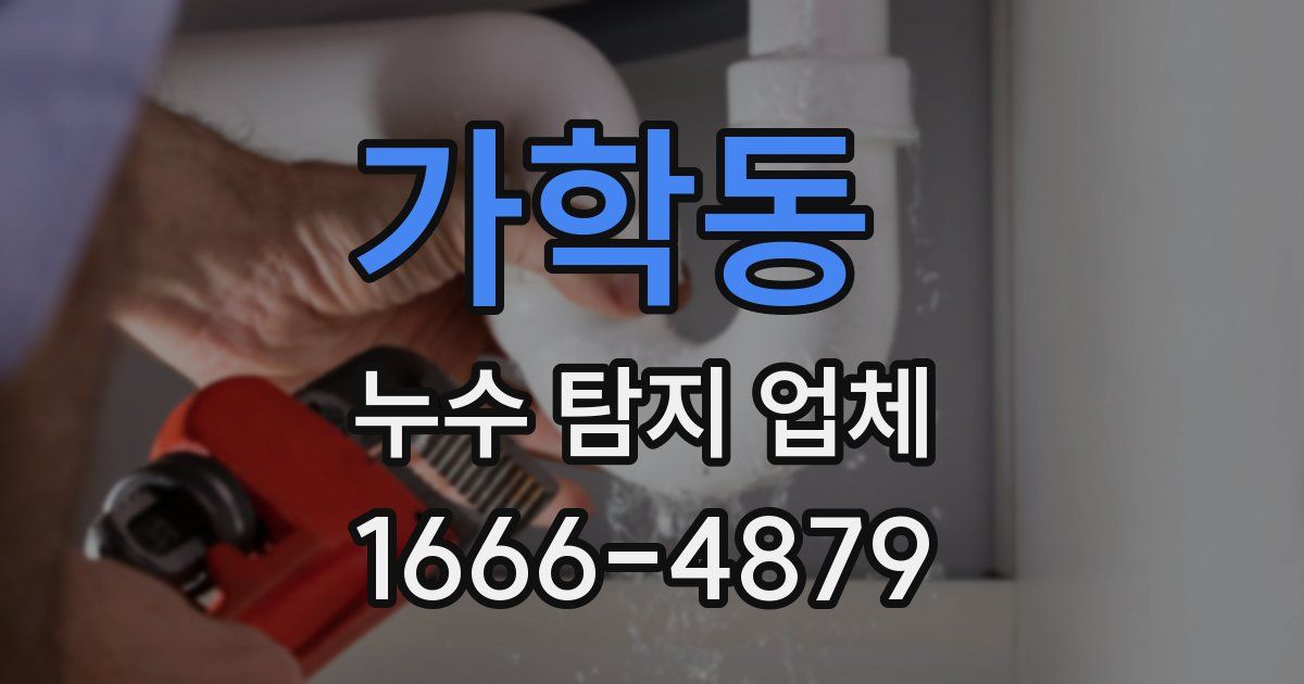 가학동 누수 탐지 업체