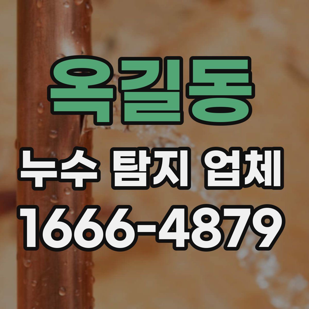 옥길동 누수 탐지 업체