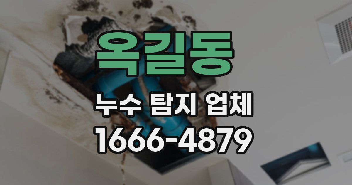 옥길동 누수 탐지 업체