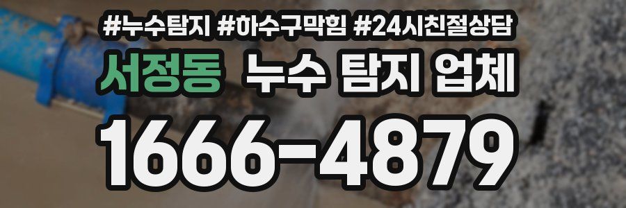 서정동 누수 탐지 업체