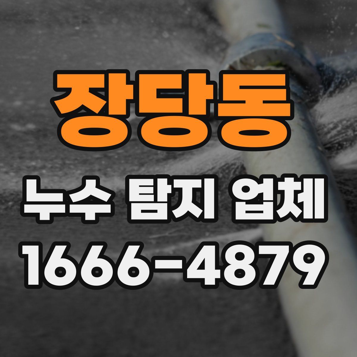 장당동 누수 탐지 업체