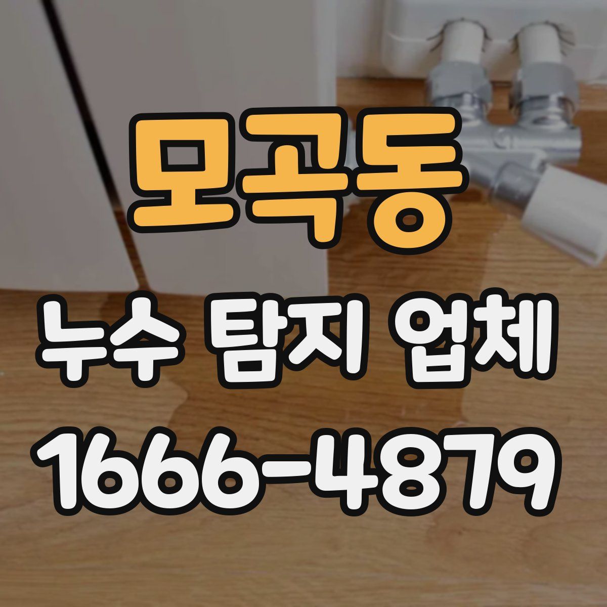 모곡동 누수 탐지 업체