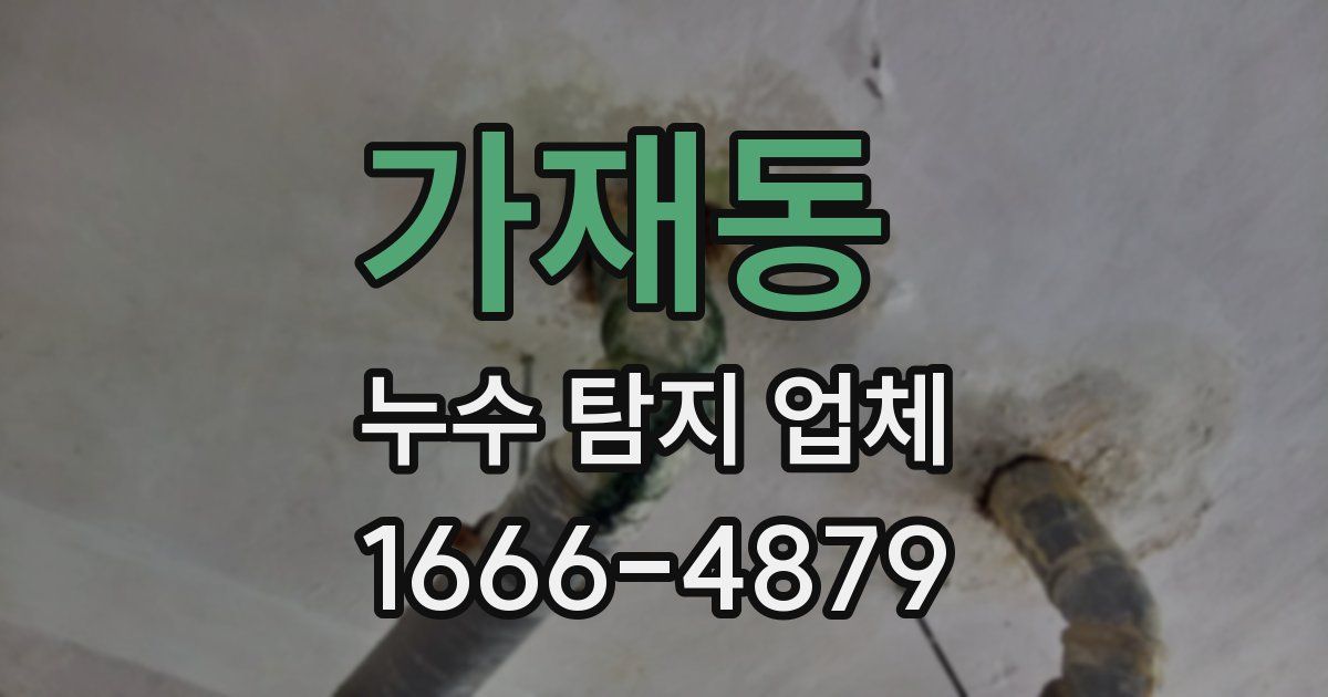 가재동 누수 탐지 업체
