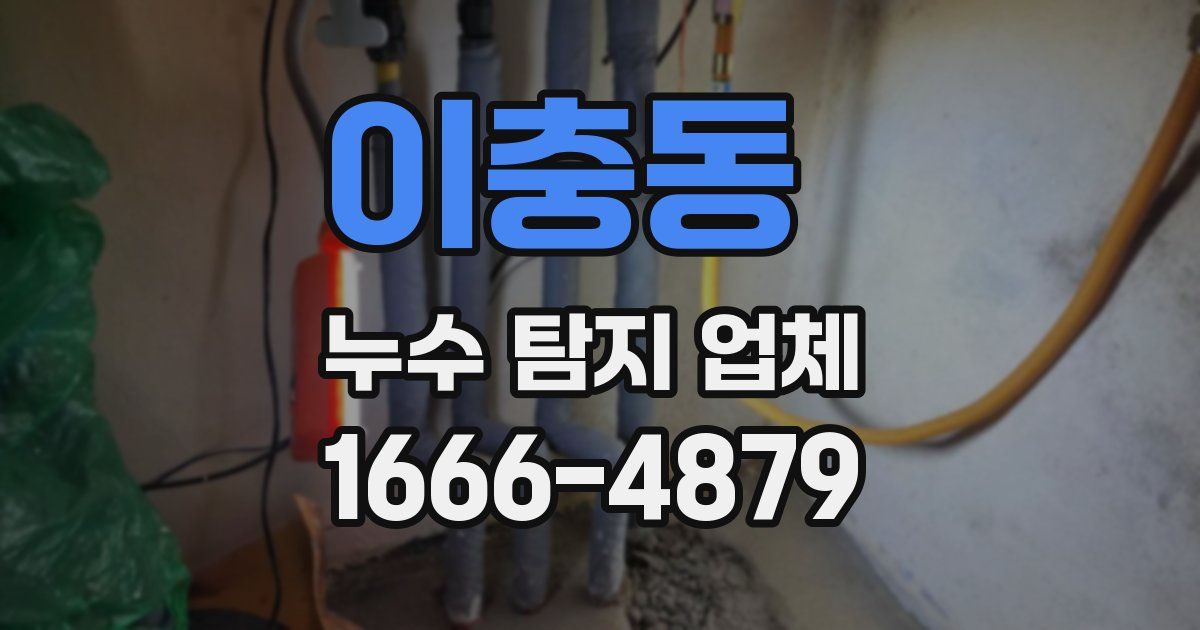이충동 누수 탐지 업체
