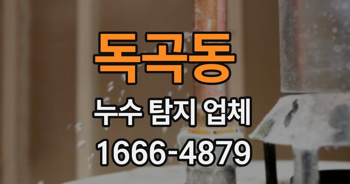 독곡동 누수 탐지 업체
