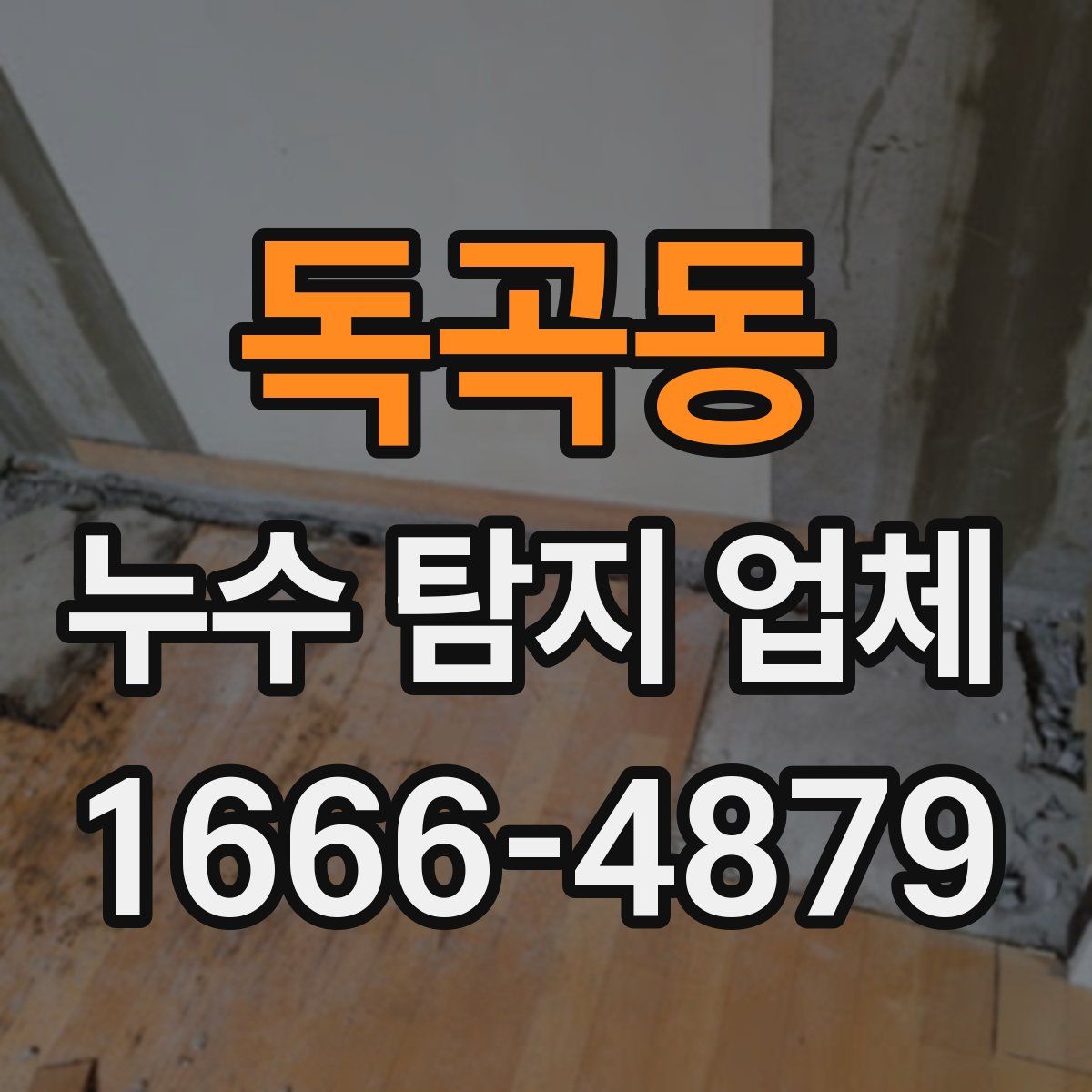 독곡동 누수 탐지 업체