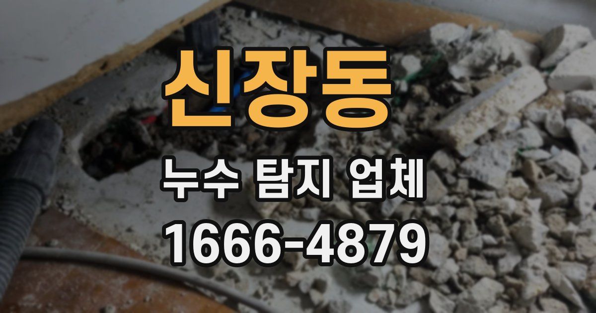신장동 누수 탐지 업체