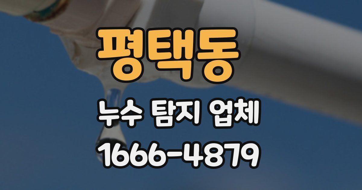 평택동 누수 탐지 업체