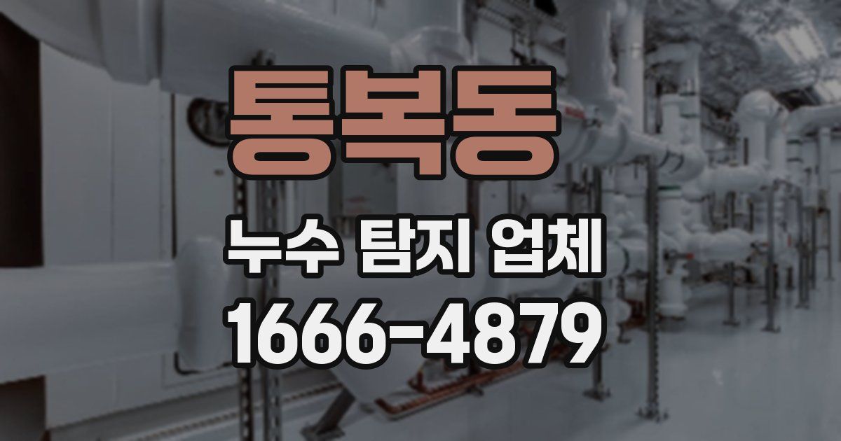 통복동 누수 탐지 업체