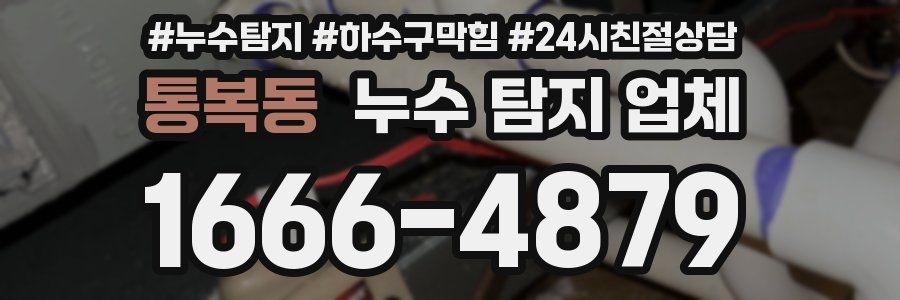 통복동 누수 탐지 업체