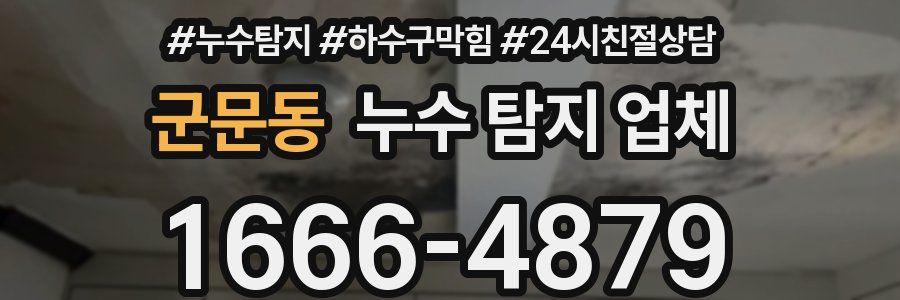 군문동 누수 탐지 업체