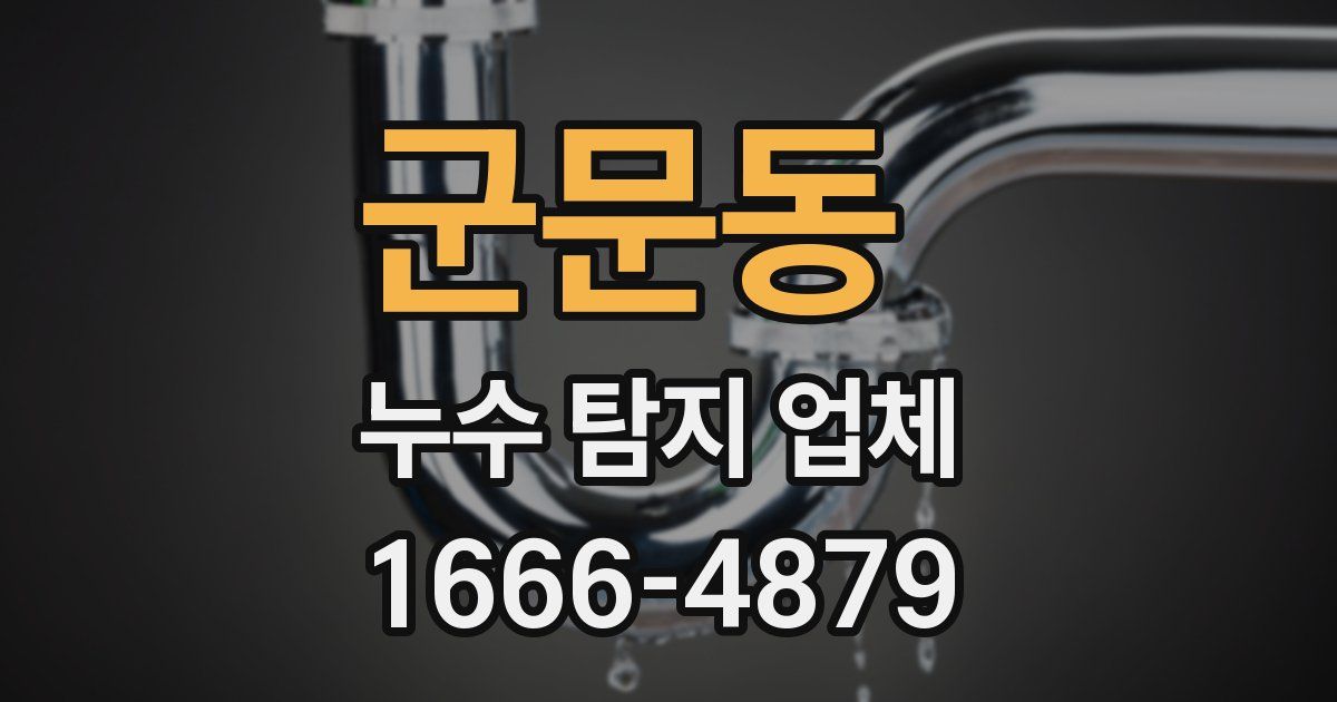 군문동 누수 탐지 업체