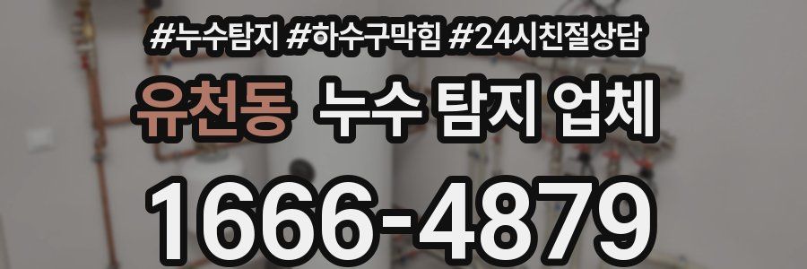 유천동 누수 탐지 업체