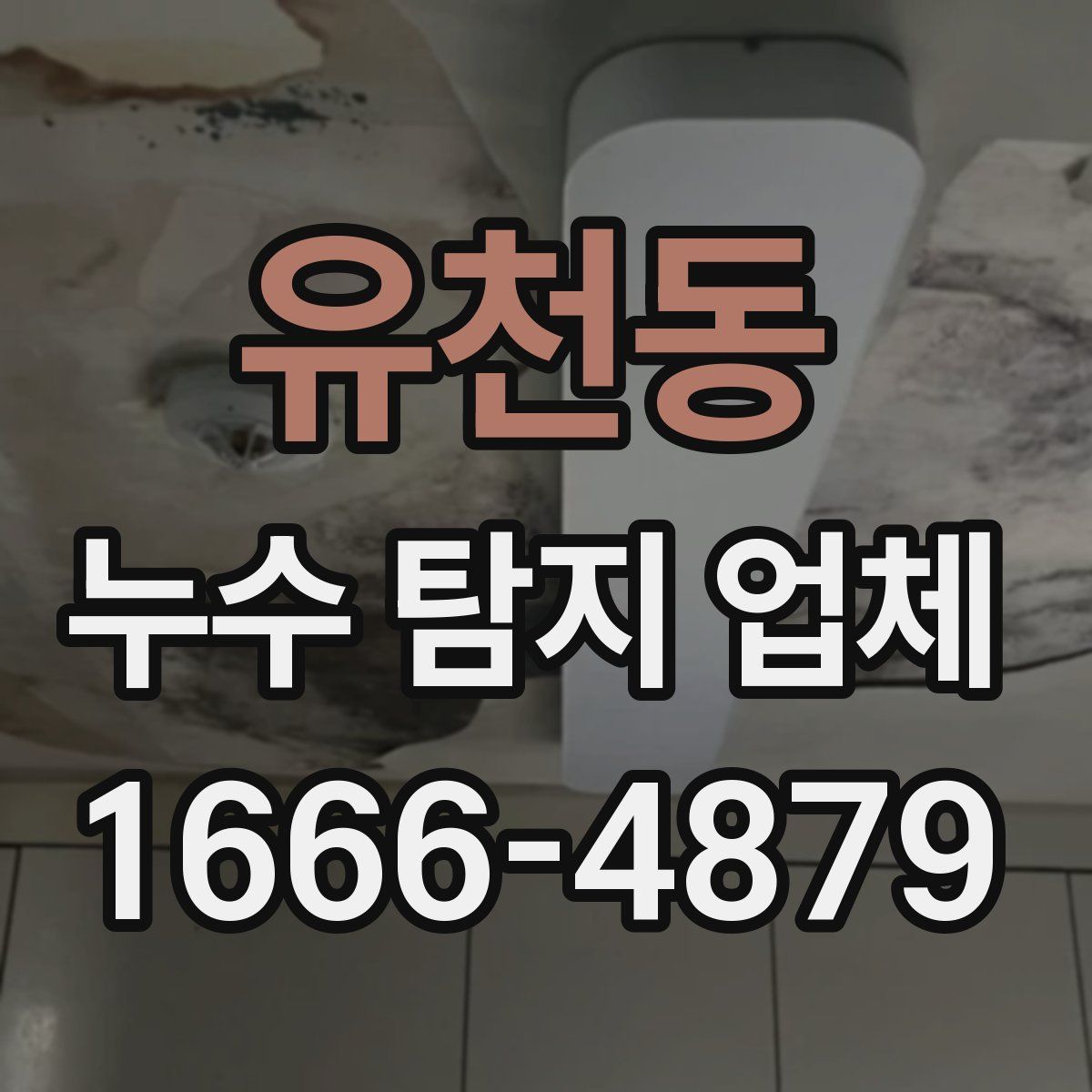유천동 누수 탐지 업체