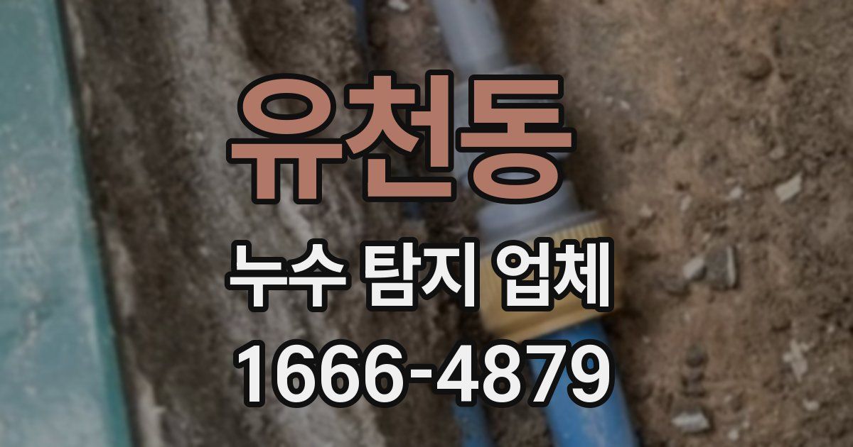 유천동 누수 탐지 업체