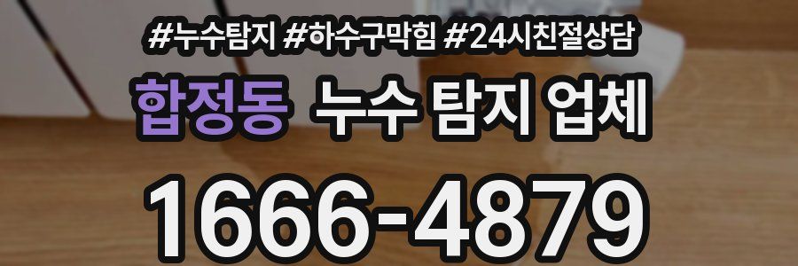 합정동 누수 탐지 업체